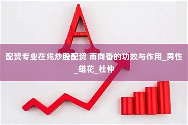 配资专业在线炒股配资 南向番的功效与作用_男性_雄花_杜仲